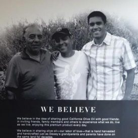 Homemade Olive Oil: Part One Image